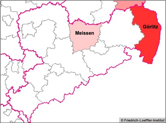 Confirmed case of ASF in wild boar in the district of&nbsp;Meissen.

